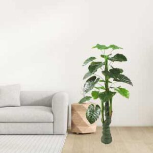 Kaykon 5 Ft Big Artificial Money Plant Tree Indoor Plant Home Decorative Plant