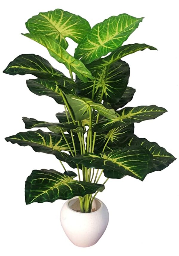 Artificial money plant bunch