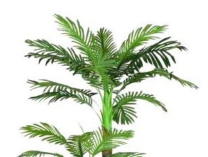 KAYKON Big Artificial Plant Areca Palm Tree For Home Decor | SUPERB QUALITY |Office | Hotel | Luxury Farmhouse | House warming gift – Without Vase -4.65 feet