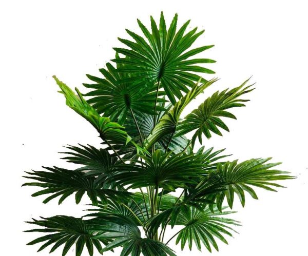 Artificial green panja palm areca plant big size