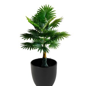 KAYKON Artificial 3 Feet Panja Palm Tree | Indoor/Outdoor Trees for Home, Office Decor