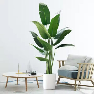 KAYKON Large Imported Artificial Banana Plant Birds of Paradise Plant Without Pot for Luxury Home Office Hotel Decor – 1.8 M/6 Feet