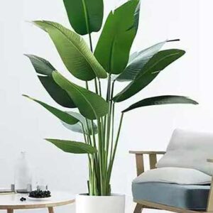 KAYKON Imported Artificial Banana Plant Without Pot for Luxury Home Office Hotel Decor – 1.4 M/4.7 Feet