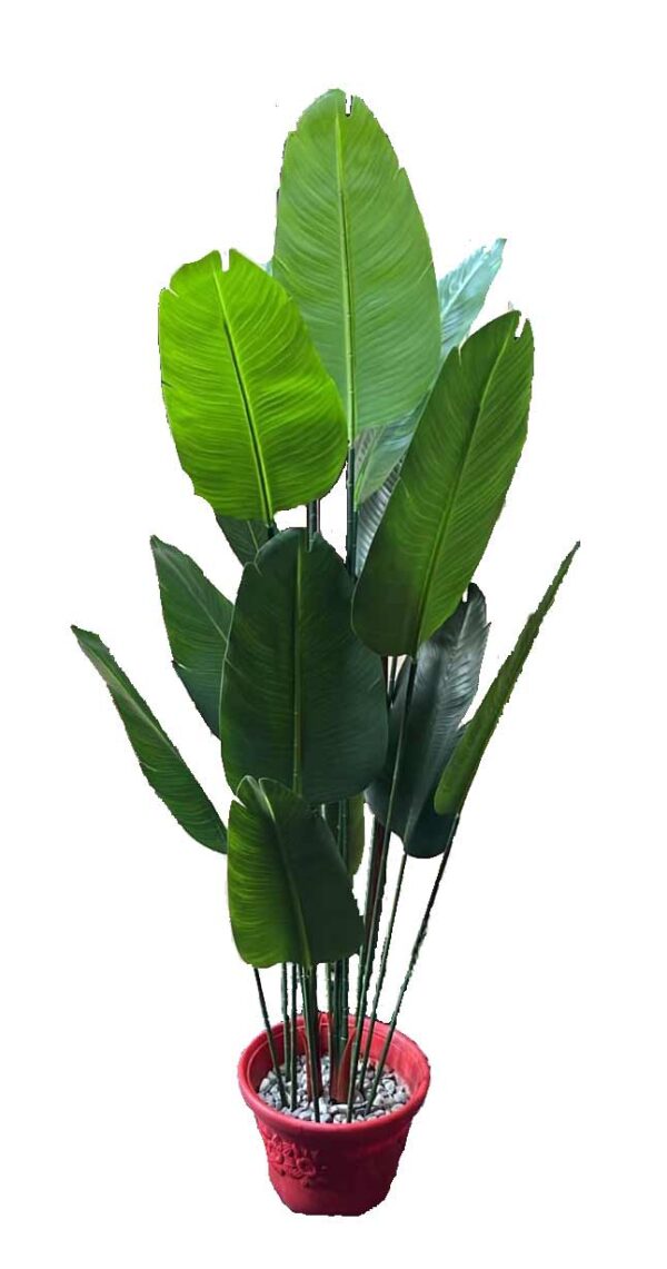 KAYKON Large Imported Artificial Banana Plant Birds of Paradise Plant Without Pot for Luxury Home Office Hotel Decor - 1.8 M/6 Feet - Image 3